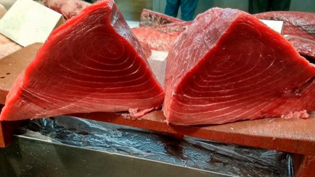 Tacos de atún rojo, receta de un entrante de lujo fácil de preparar