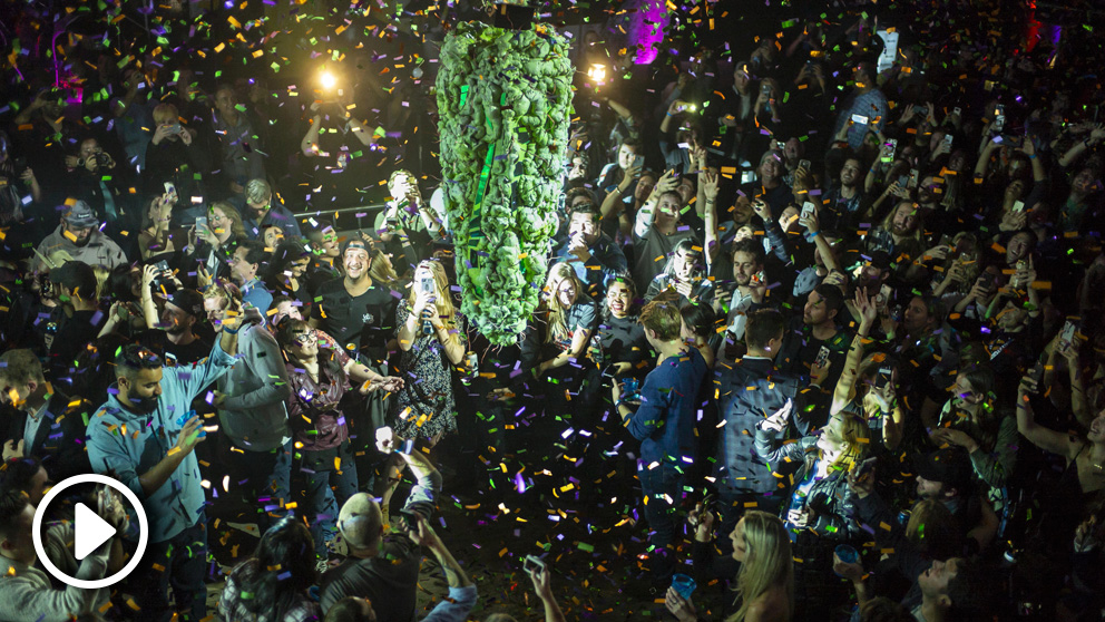 Un grupo de canadienses celebra la legalización de la marihuana. Foto: AFP