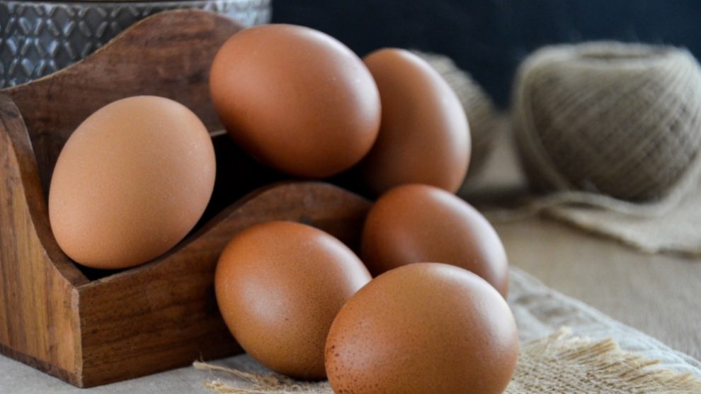 El 75% de la composición de los huevos es agua