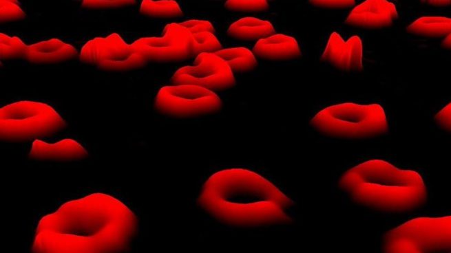 Normales sangre en niveles hemoglobina de