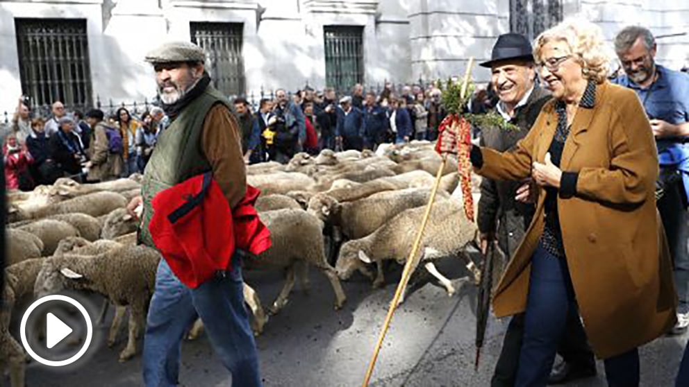 Carmena junto a los pastores que conducían el rebaño (Foto: EFE).
