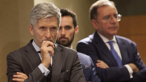Fernando Grande-Marlaska, ministro del Interior.