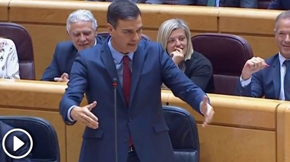 El presidente del Gobierno, Pedro Sánchez, en la sesión de control al Senado