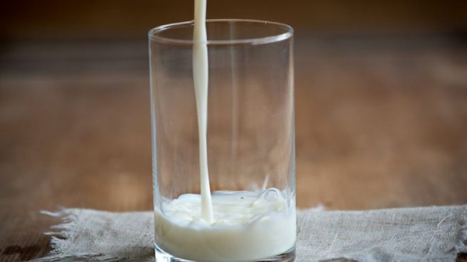 Leche de avena o leche entera?: esta es la que tiene más calorías