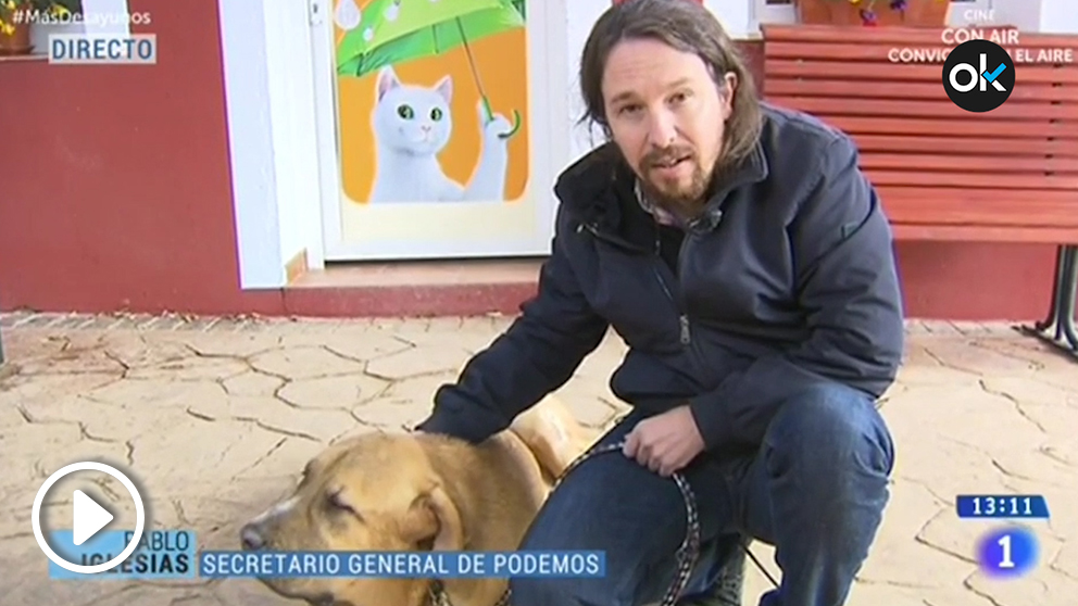 Pablo Iglesias acaricia a una perra en TVE mientras es entrevistado por Xabier Fortes