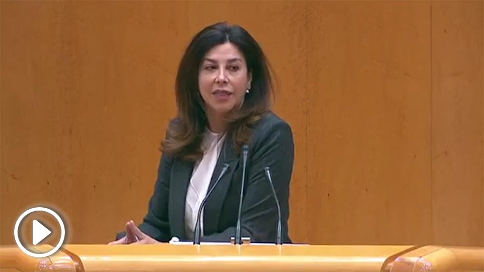 Arenales Serrano, senadora del PP.