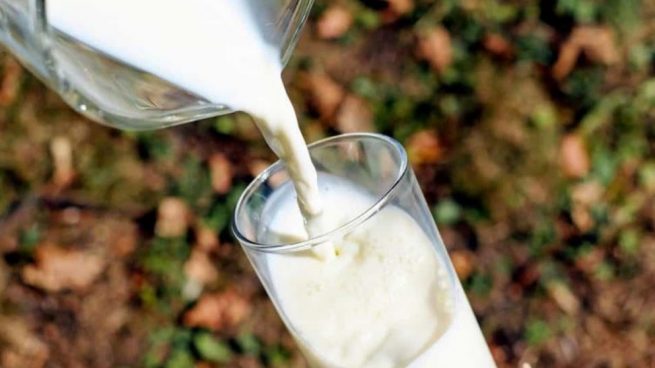 leche de soja