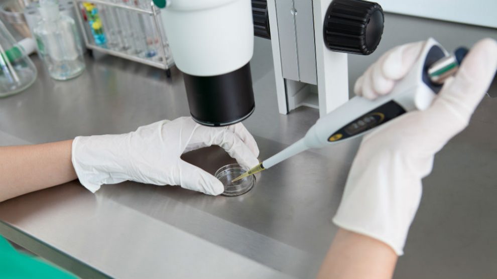 La ‘vacuna’ que frena el cáncer de pulmón (Foto: iStock)