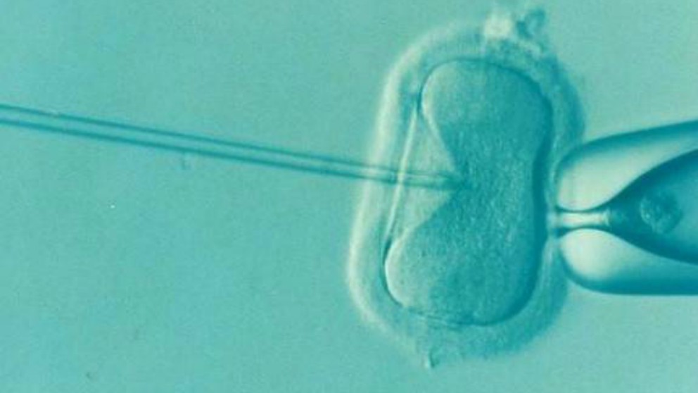 Curiosidades sobre la reproducción asistida