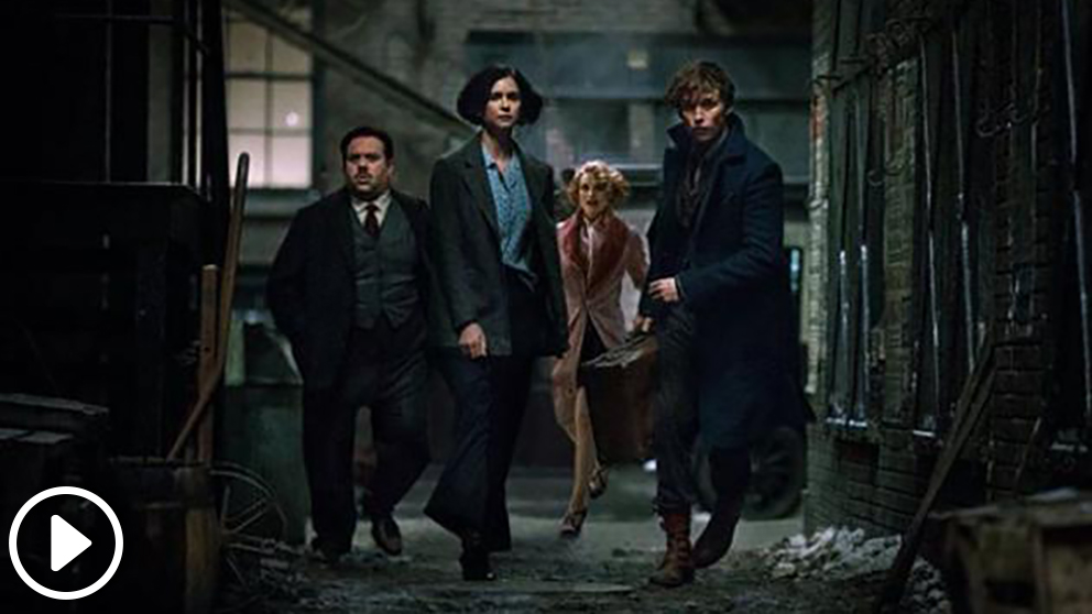 animales-fantasticos copia