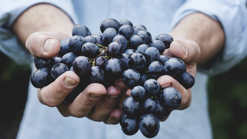 Beneficios de comer uvas en el embarazo