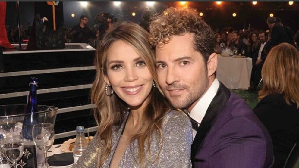 David Bisbal y Rosanna Zanetti ya saben el sexo del bebé que esperan