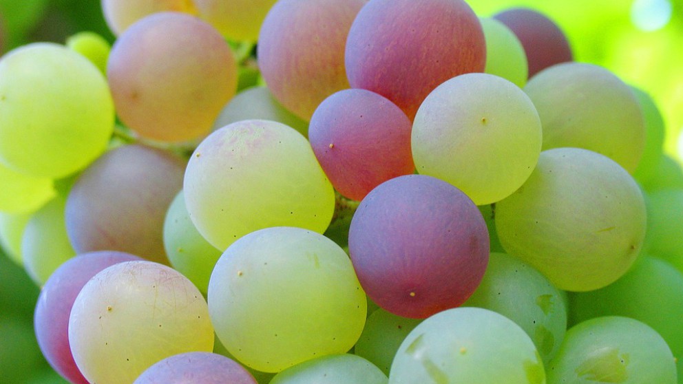 datos de salud sobre las uvas verdes y la diabetes