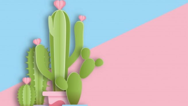 cactus de papel