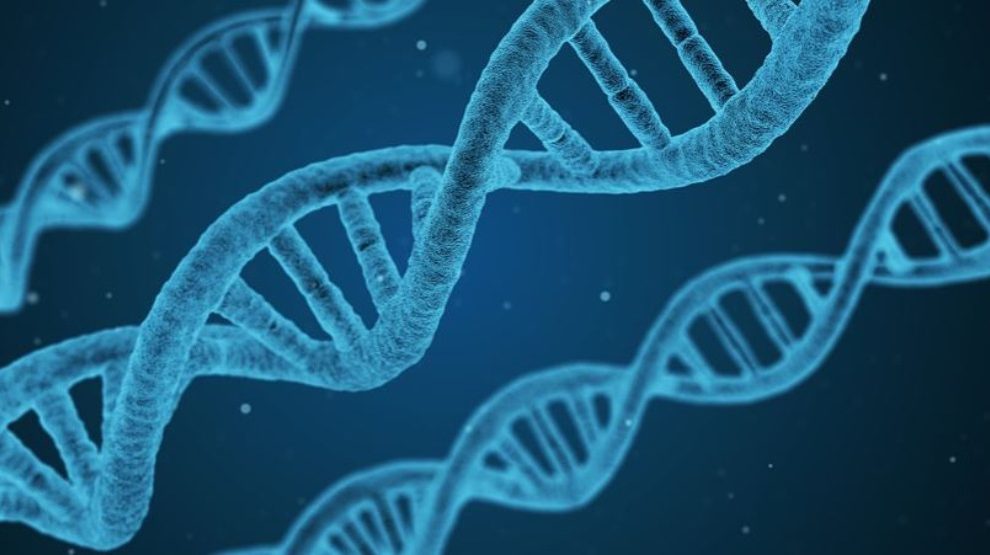 Los obesógenos son agentes químicos