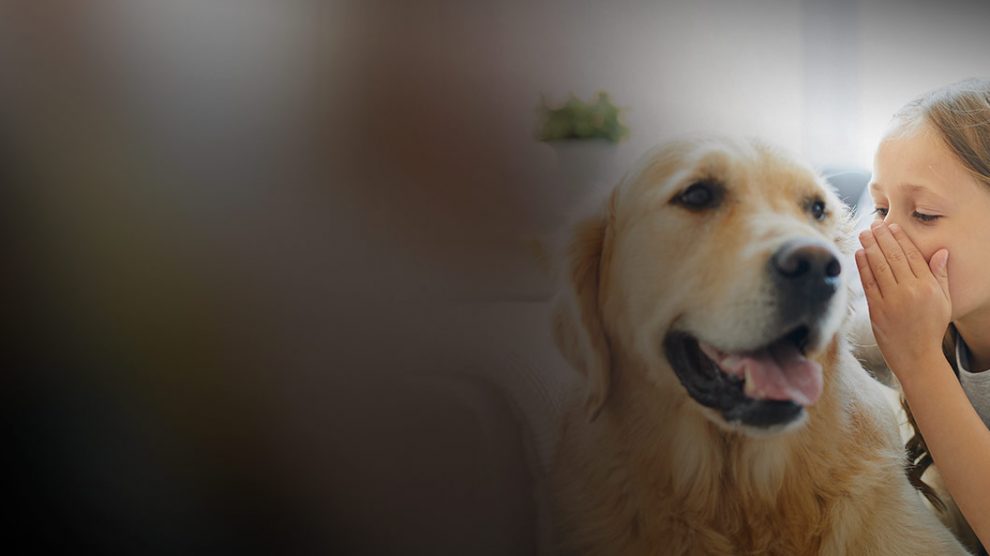 espacio-santander-bannerv3-animales-hablan (1)