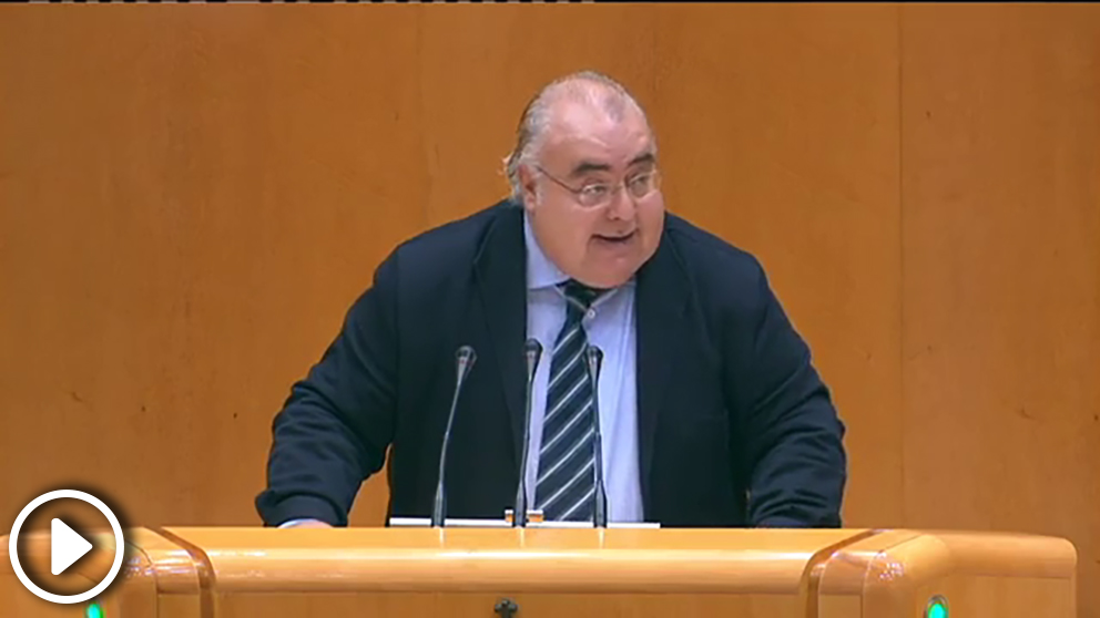 El senador socialista Antonio Rodríguez Esquerdo, en el Pleno del Senado.