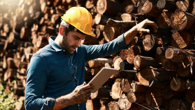 Minsait (Indra) mejora la seguridad y productividad en el ámbito laboral de la industria forestal