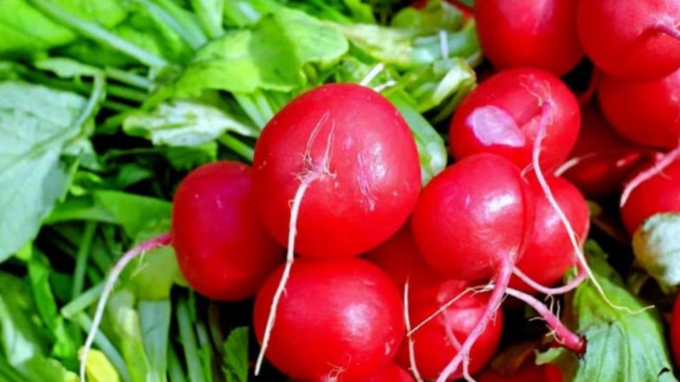 Cómo hacer una dieta vegetariana
