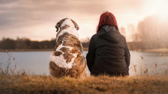 Cómo detecta un perro un problema de salud