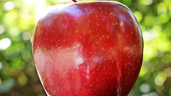 caracteristicas de una manzana natural