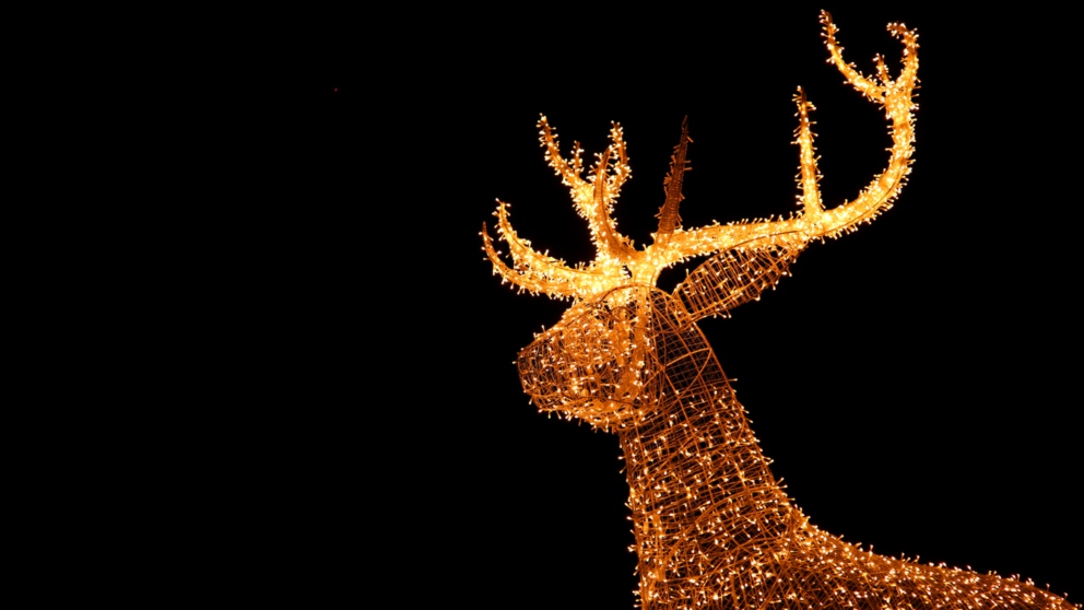 Disfrutar de la iluminación y el alumbrado navideño de tu ciudad