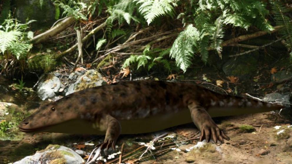 Descubre cómo el calentamiento global provocó la mayor extinción masiva de la historia