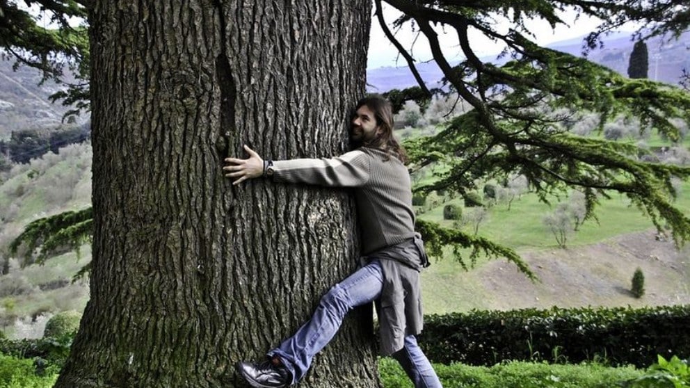 Cuáles son los beneficios de abrazar un árbol