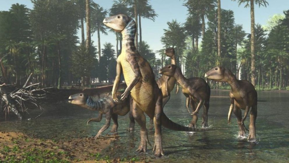 Conoce al Weewarrasaurio, una nueva especie de dinosaurio