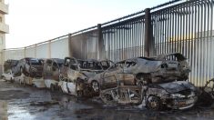 Imagen de los coches calcinados por el incendio (Foto: EFE).