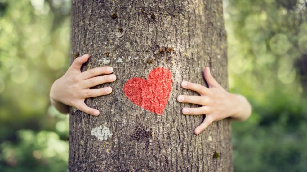 Nada mejor que abrazar a un árbol, pues aporta miles de beneficios para tu estabilidad emocional