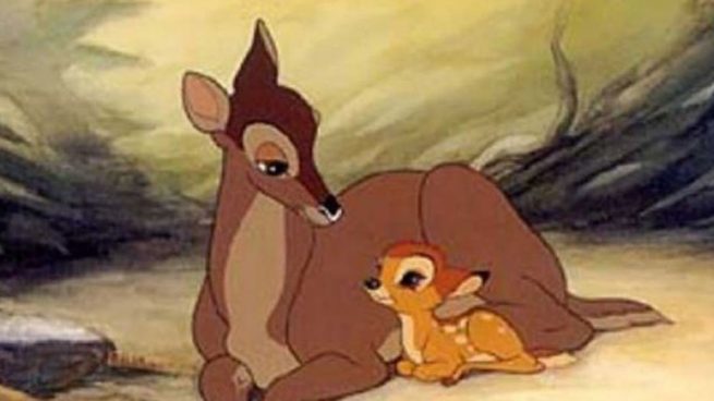 bambi-condena-cazador-furtivo