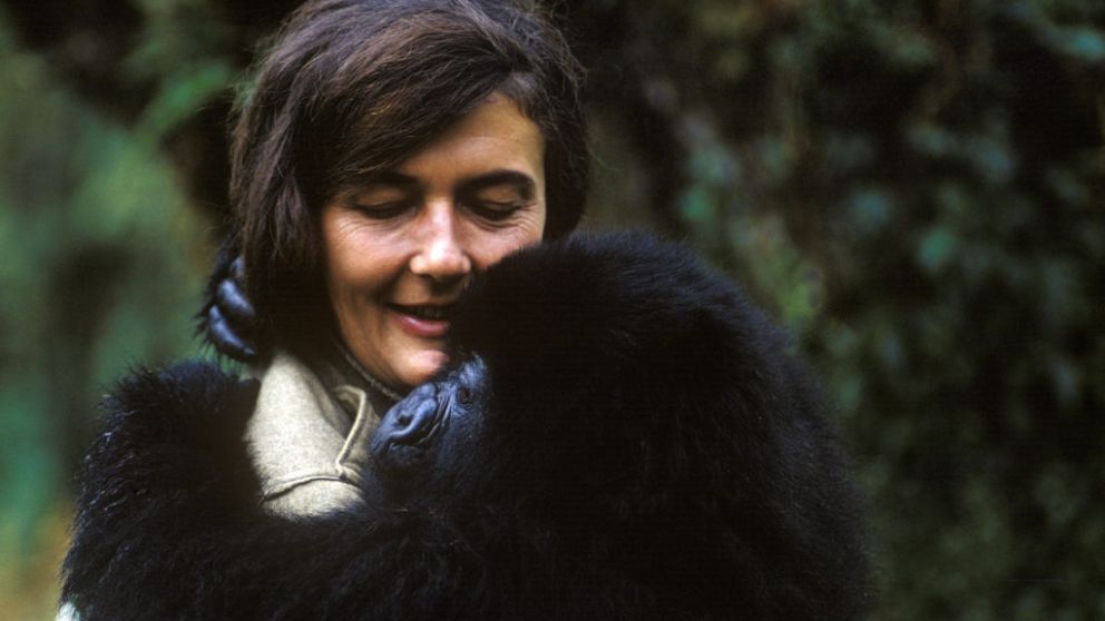 Dian Fossey fue asesinada el 26 de diciembre de 1985 | Efemérides del 26 de diciembre de 2018