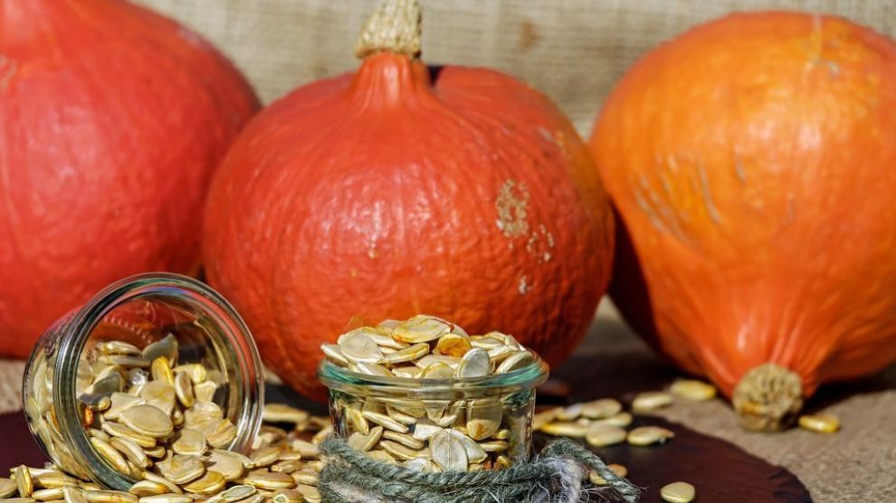 Pasos para secar pipas de calabaza