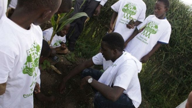 Plantar un billón de árboles, el ambicioso objetivo de Plant-for-the-Planet avalado por Naciones Unidas