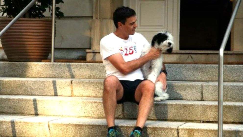 Pedro Sánchez posa con la perrita Turca en las escaleras de La Moncloa.