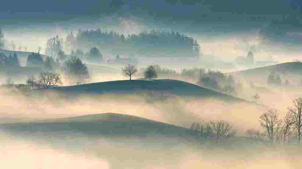 La cencellada aparece con la niebla y las bajas temperaturas.