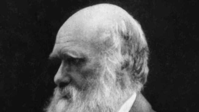 enfermedad de Charles Darwin