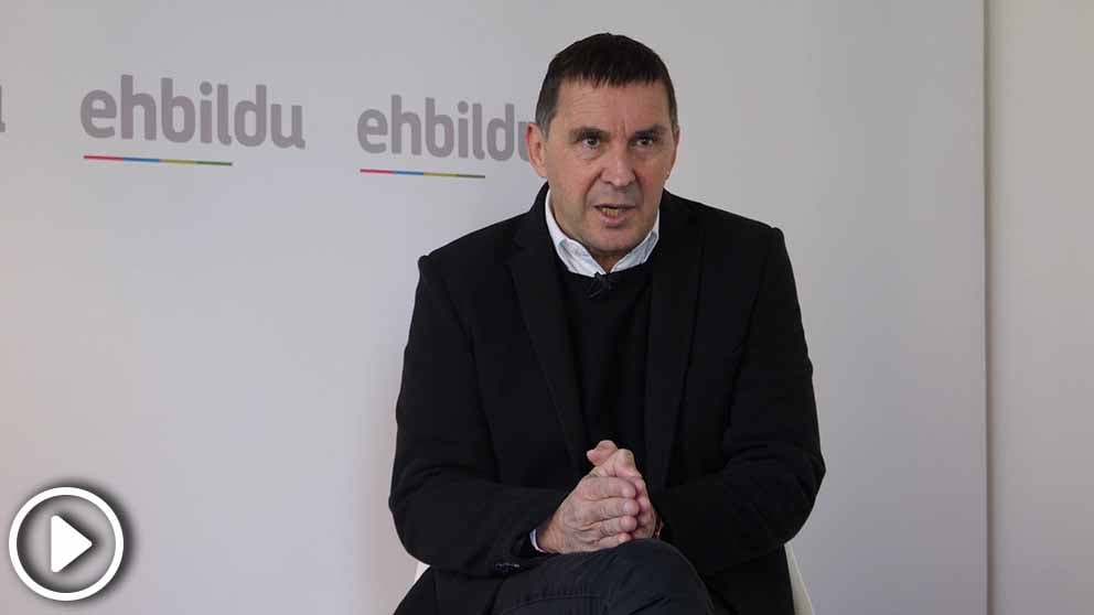 Arnaldo Otegi afirma que Zaplana y todos los presos enfermos de ETA «tienen que estar en libertad»