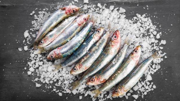 sardinas a la sal