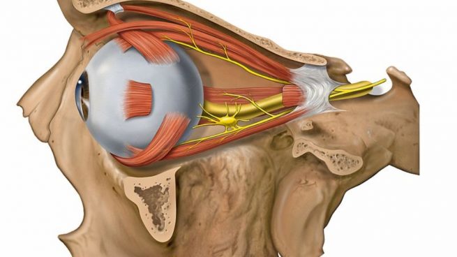 salir los ojos de las órbitas