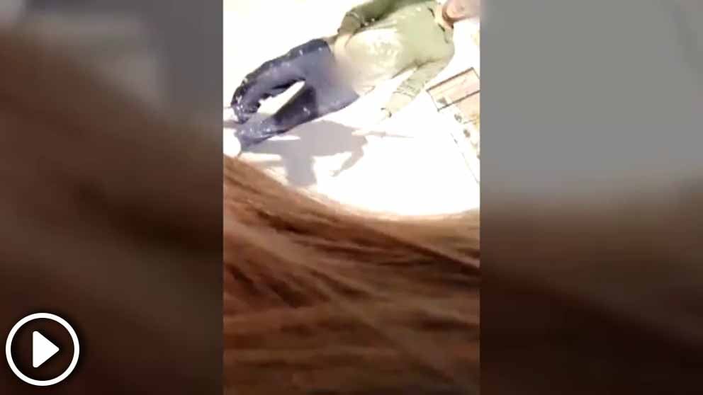 violacion-orihuela
