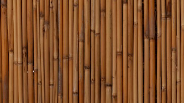 Palos De Bambu Decoracion