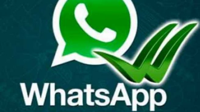 Whatsapp ¿dónde Se Guardan Las Copias De Seguridad 7319