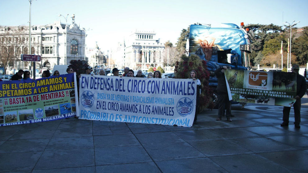 Manifestación contra los circos de animales