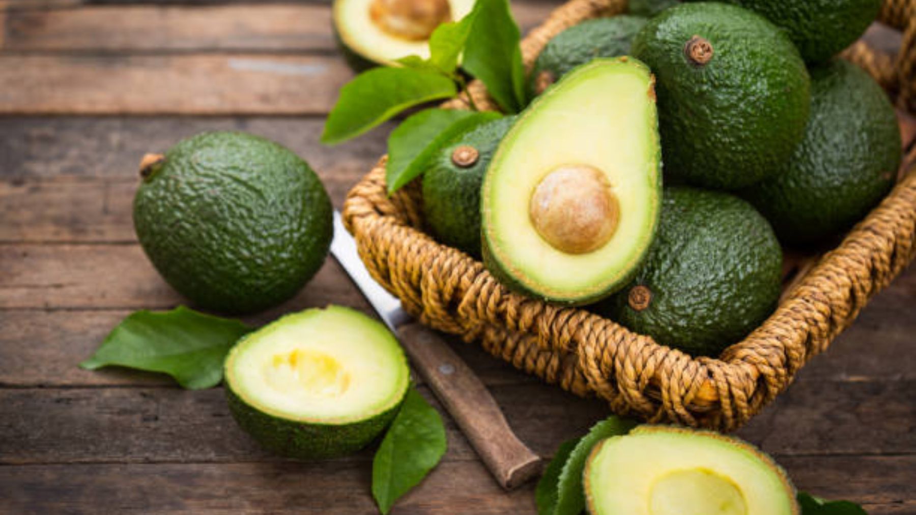 Aguacate Descubre Los Beneficios 3218