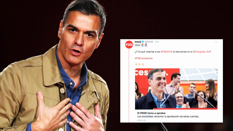 Pedro Sánchez