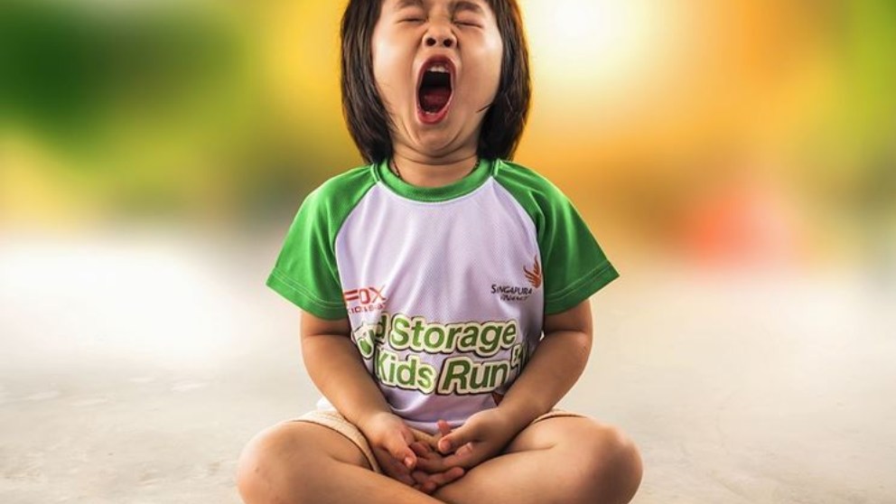 Algunos estudios concluyen que bostezar sirve para refrigerar el cerebro.