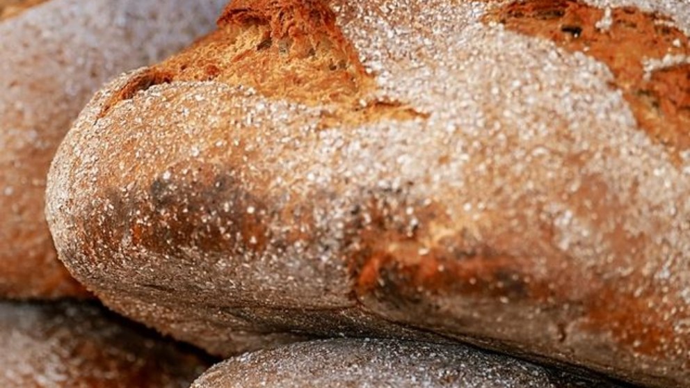 Hay distintos tipos de pan y quizás a cada uno le vaya o le guste más un tipo distinto.