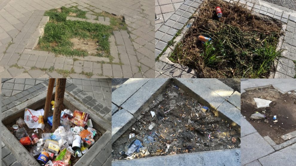 Alcorques en mal estado reportados a Línea Madrid.